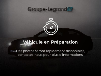 MG Mg ZS EV 443862171699